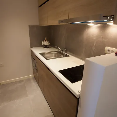 Zupa Deluxe Apartamento Kopaonik