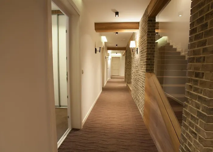 Апартаменты Zupa Deluxe Копаоник