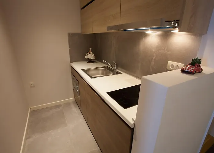 Zupa Deluxe Апартаменты Копаоник