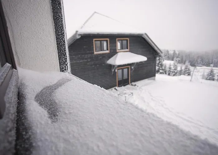 Zupa Deluxe Апартаменты *