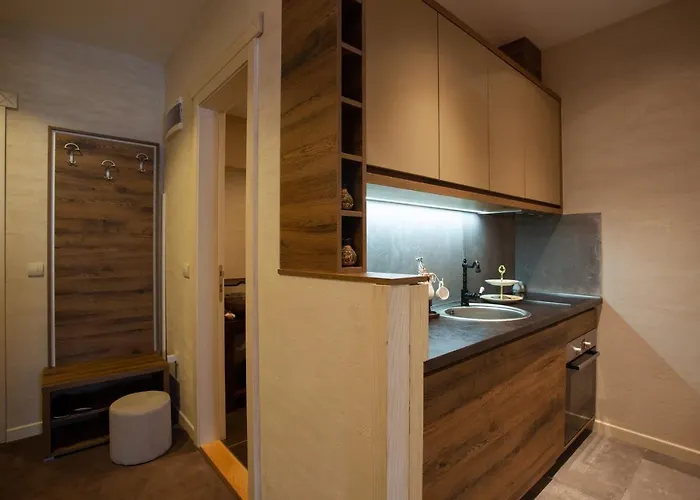 Zupa Deluxe Апартаменты Копаоник