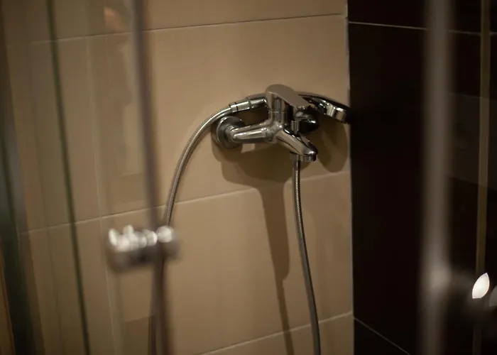 Апартаменты Zupa Deluxe Копаоник